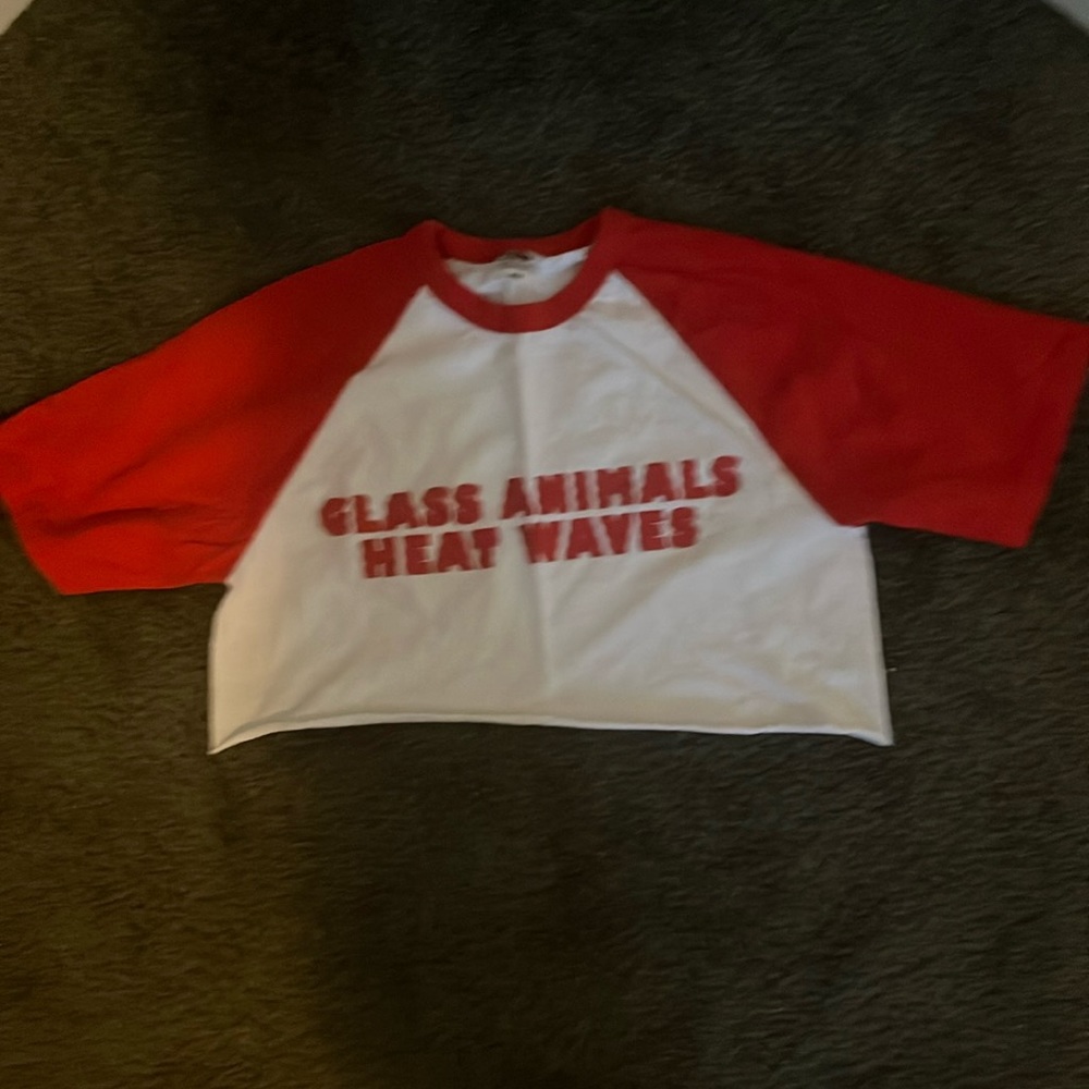 Glass animals crop top